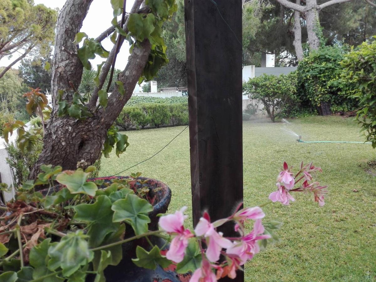Apartamentos Da Balaia Albufeira Eksteriør bilde